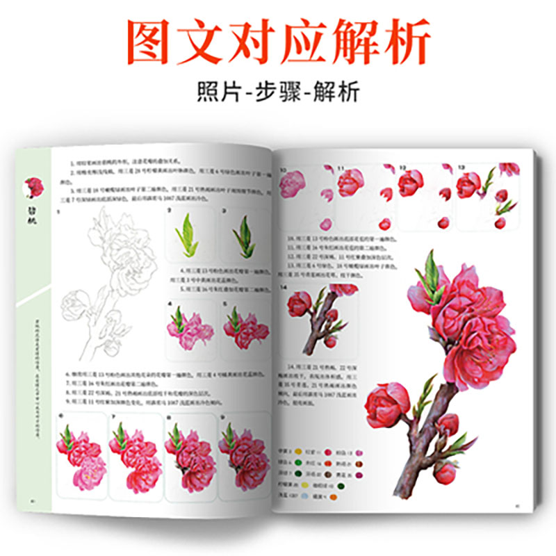 Учебник для рисования вкусных  – обзор и цена Food And Snacks Coloring Book